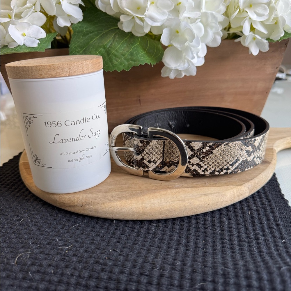 Brown and Silver Belt with Distinctive Buckle and Chain Detail